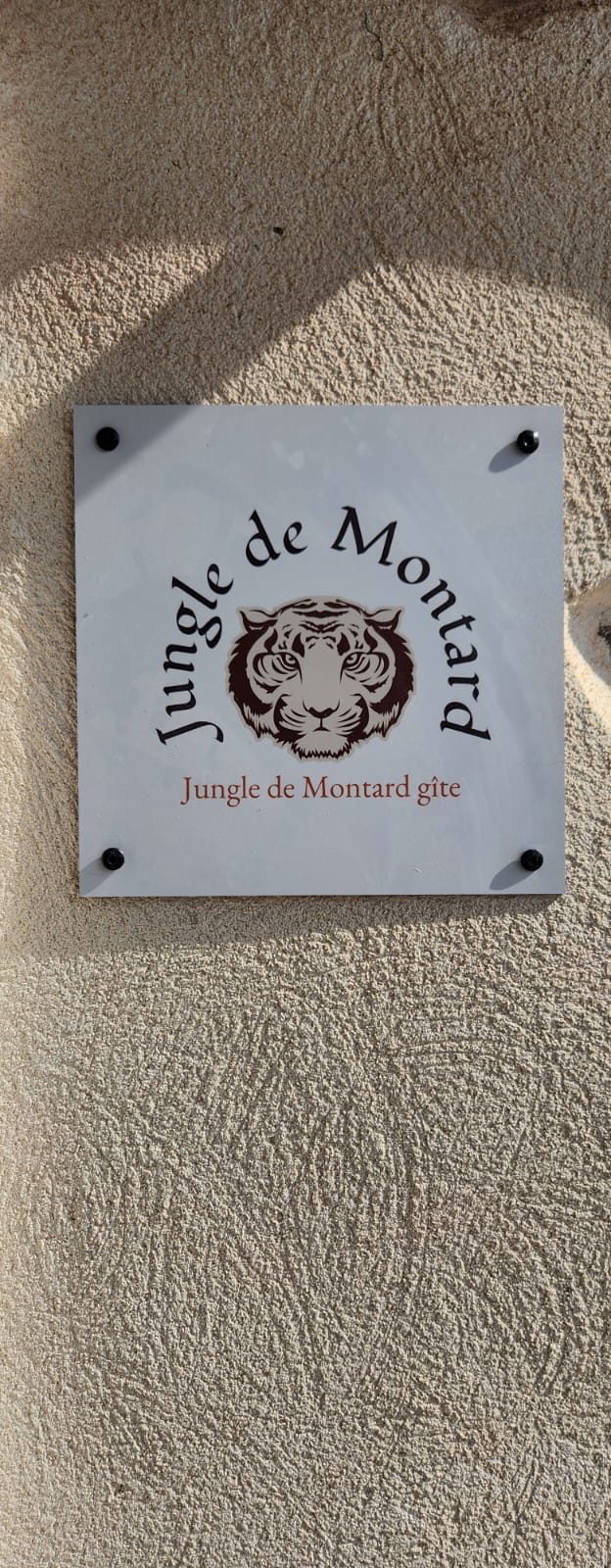 Gîte Jungle — détail